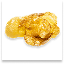 Boswellia Serrata