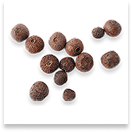 BioPerine
